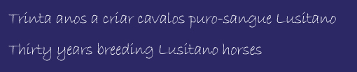 30 years of breeding lusitano horses